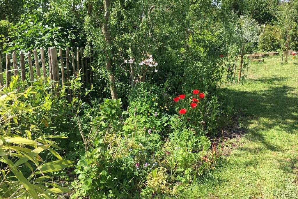 Unterkunft Am Hang Eutin Esterno foto